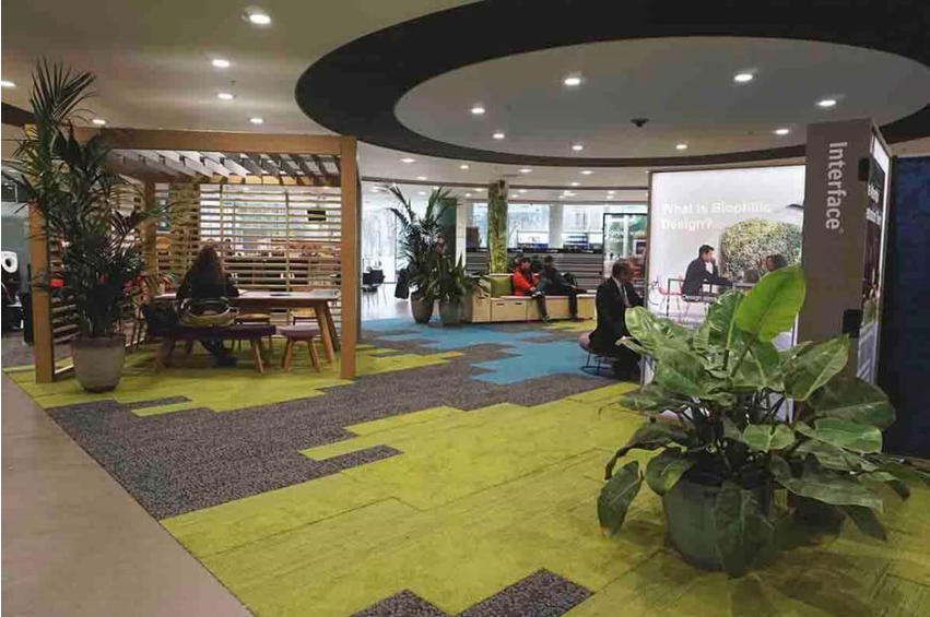 Design Biofilico no Ambiente Klips